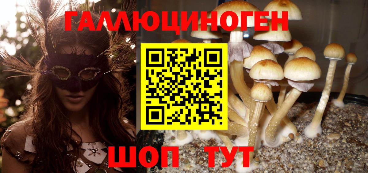Галлюциногенные грибы ЛСД Дальнереченск