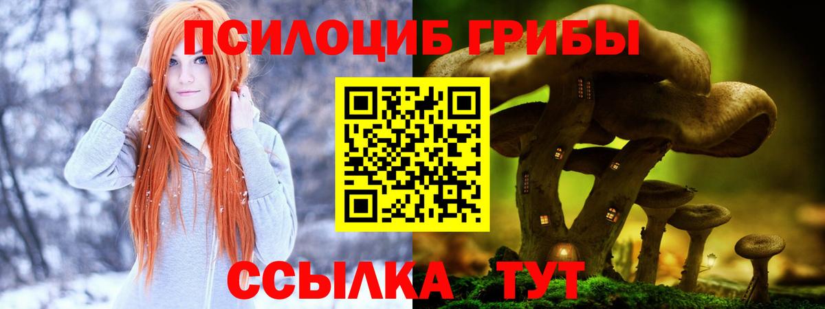Галлюциногенные грибы GOLDEN TEACHER  Галлюциногенные грибы MAGIC MUSHROOMS  Вход с VPN  Дальнереченск 