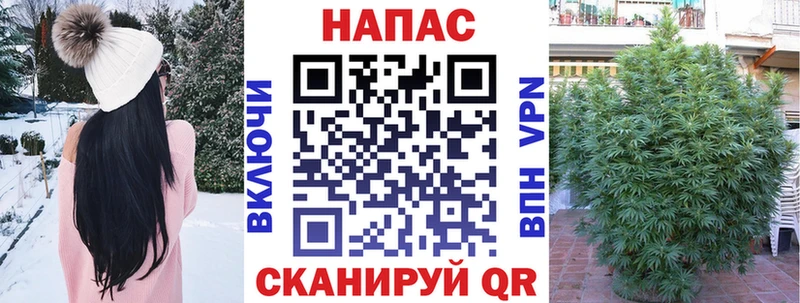 Бошки марихуана гибрид  мега вход  Дальнереченск 